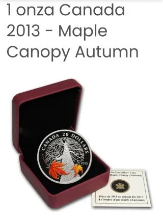 Moneda Plata 1 Onza Canada 2013 Maple