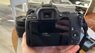 Canon EOS 250D EF-S 18-55 III Negra