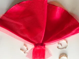 Vestido y accesorios Barbie