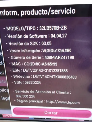 Televisor LG Gris/Plateado