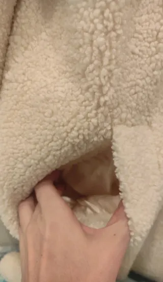 Cappotto donna CALLIOPE taglia XL