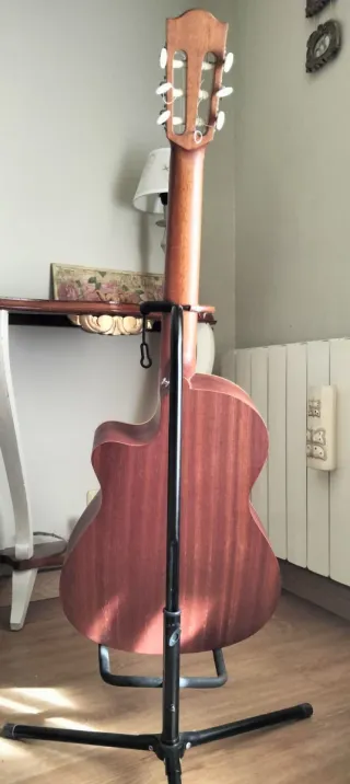 Alhambra Nature CW EZ Amplificada