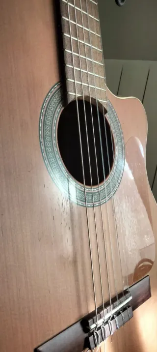 Alhambra Nature CW EZ Amplificada