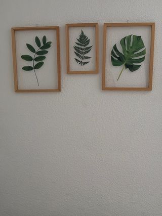 3 Cuadros Decorativos Hojas