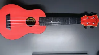 Ukelele Rojo Flight