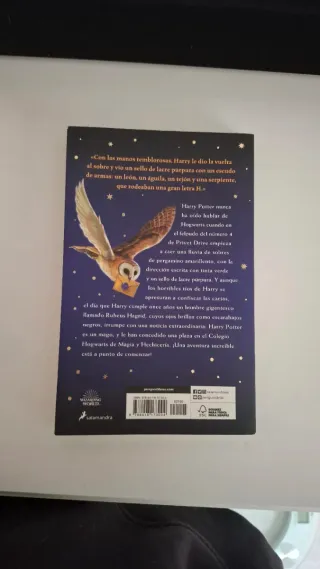 Harry Potter y la piedra filosofal (Harry Potte...