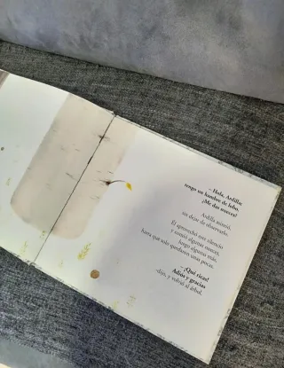 Un secreto del bosque (Spanish Edition)