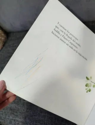 Un secreto del bosque (Spanish Edition)