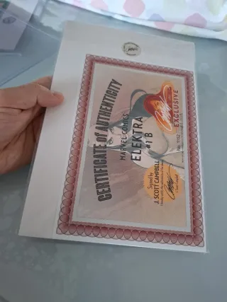 Fumetto autografato Scott Campbell- Elektra n 1152