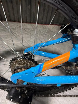 Bicicleta Infantil Azul Rueda 20 pulgadas