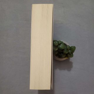 Memoria de una geisha