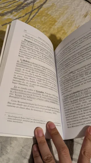 El español de América: aproximación sincrónica