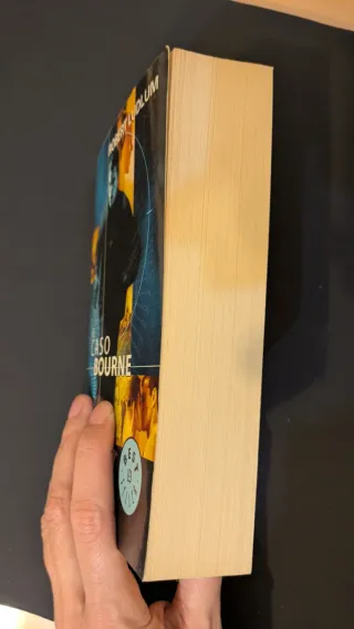 El caso Bourne (novela espías)