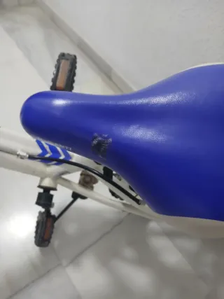 Bicicleta infantil blanca y azul