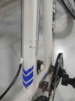 Bicicleta infantil blanca y azul