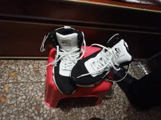 Zapatillas Nike Air Pegasus,