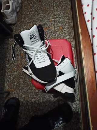 Zapatillas Nike Air Pegasus,