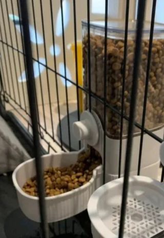 Comedero/bebedero para mascotas