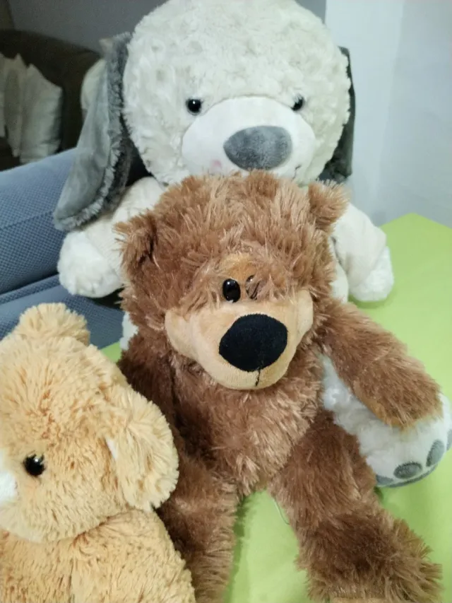 Lote de 3 peluches: perro y osos