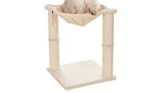 Rascador para gatos con hamaca y juguete