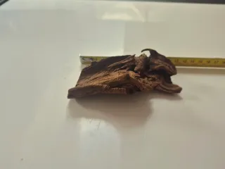 Lote de maderas para ACUARIO y TERRARIO