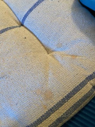 Cojín de banco beige y azul