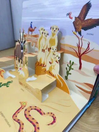 Libros infantiles educativos