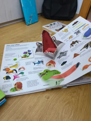 Libros infantiles educativos