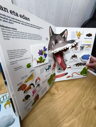 Libros infantiles educativos