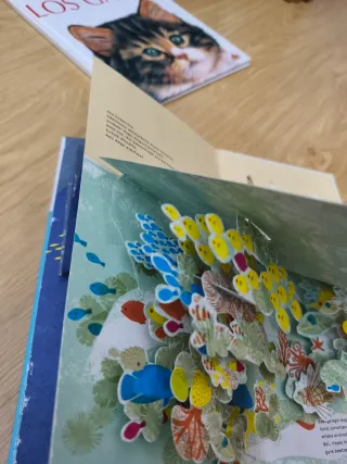 Libros infantiles educativos