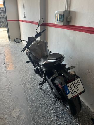 Kawasaki Z900 A2 2023