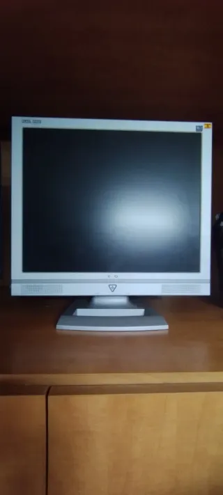 Pantalla Medion Plata 43x37 cm