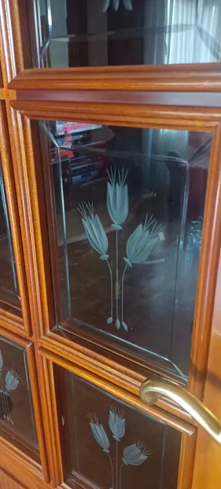 Puertas de salón de madera con cristal