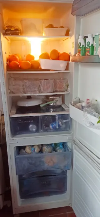 Frigorífico Edesa No Frost  Clase A