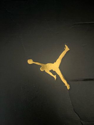 Zapatillas Jordan Maxin 200 con caja (oficial)