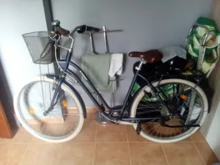 Bicicleta urbana azul con cesta 643863151