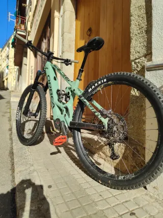 Orbea Wild M10