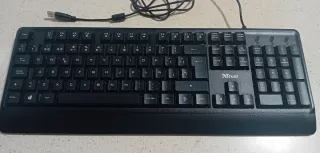 Teclado Trust Negro USB