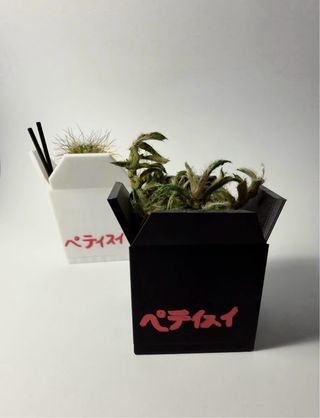 Pack Macetas Noodle Box Negra y Blanca