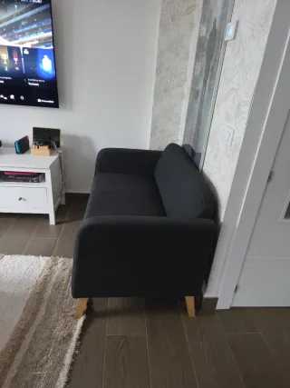 Sofá 2 plazas Ikea Linanas gris