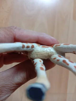 14 Caballos PVC Schneider