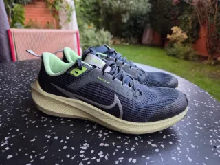 Nike Pegasus 40 Azul/Verde