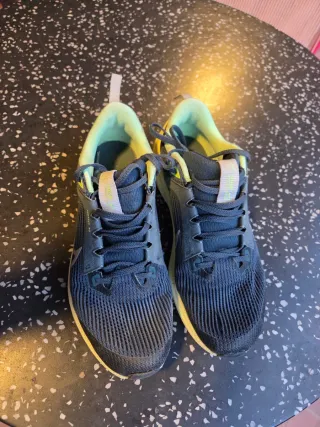 Nike Pegasus 40 Azul/Verde