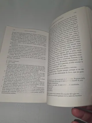 Novelas Ejemplares (Spanish Edition)