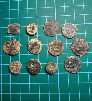 Lote Felus Hispanoárabes