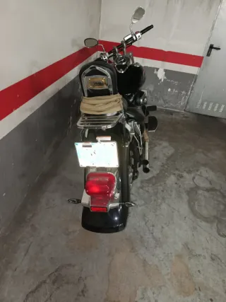 Suzuki Intruder C800 Custom Manual