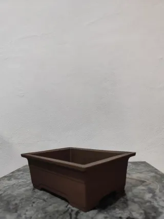 Maceta para bonsai de ceramica