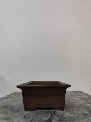 Maceta para bonsai de ceramica