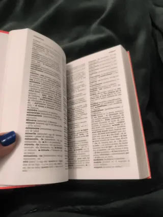 Libro Diccionario Italiano -Español