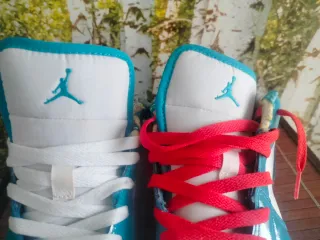 Nike Air Jordan Tg. 39